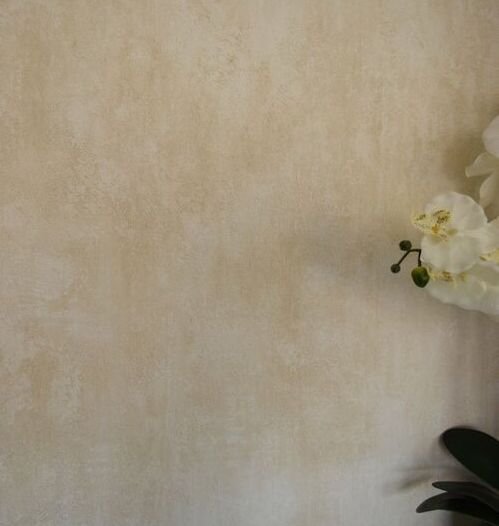 Color wash on textured lime installation